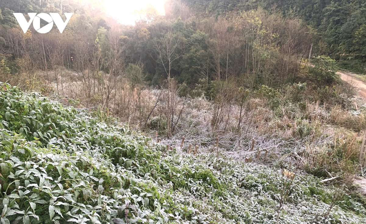 Nhiệt độ xuống cực thấp, băng giá phủ trắng nhiều nơi tại xã biên giới Nghệ An